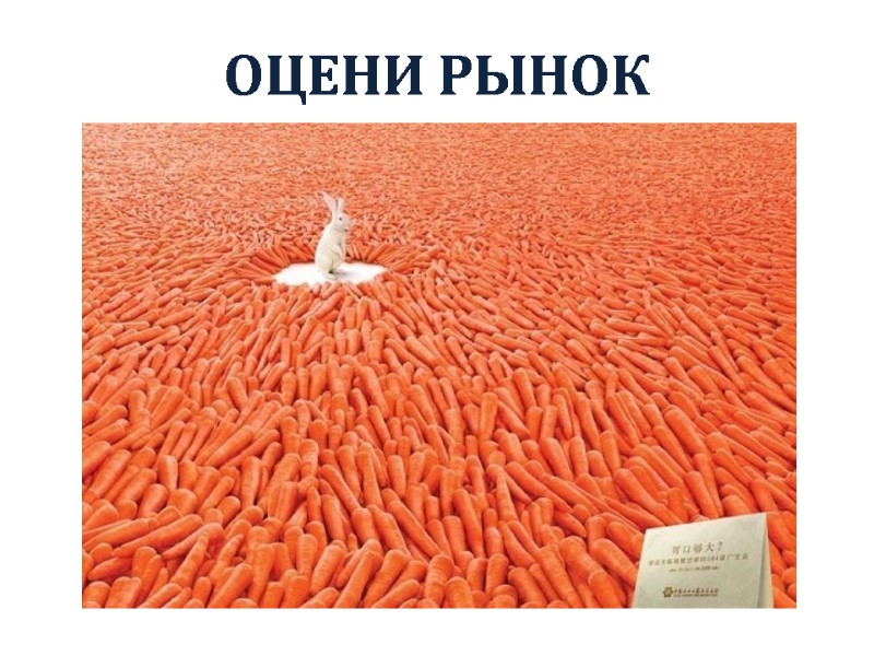 ОЦЕНИ РЫНОК